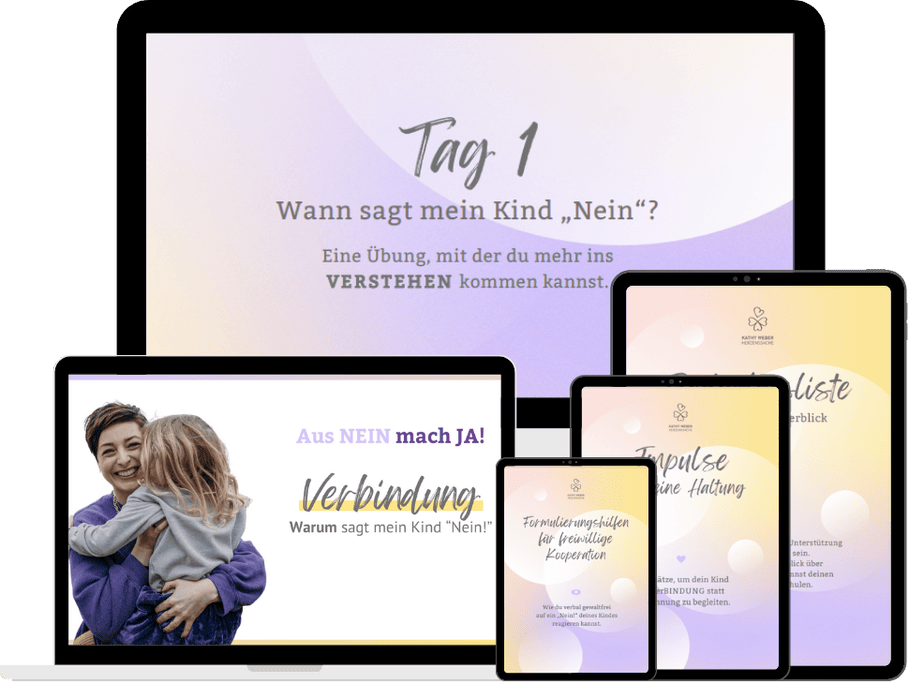 mockup-online-programm
